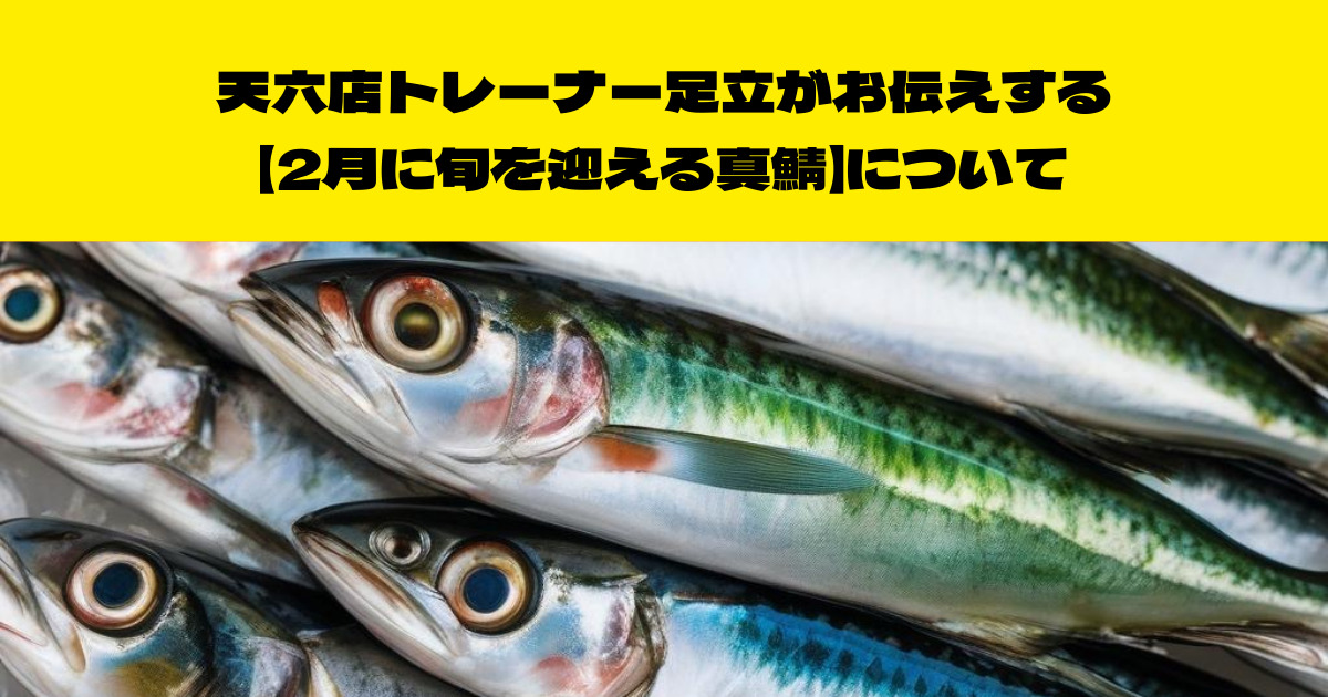 THE PERSONAL GYM 天六店トレーナーが伝える！２月に旬を迎える【真鯖】について